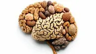 راه های ساده برای تقویت مغز و پیشگیری از زوال عقل