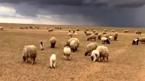 ببینید / بیابان‌های البوکمال در مرز عراق و سوریه + فیلم 