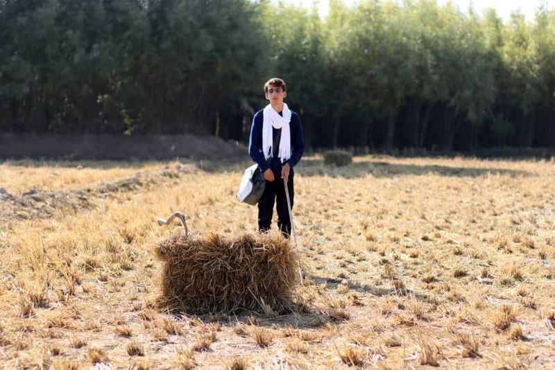 فیلم کوتاه «نویز سفید کاغذی»