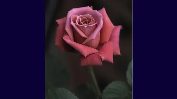 فال روزانه شخصی / 18 اردیبهشت ماه + فیلم