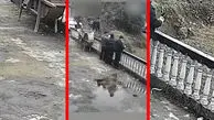 فیلم سقوط غیرمنتظره سه نفر در تراس باغ