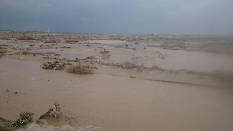 سیل