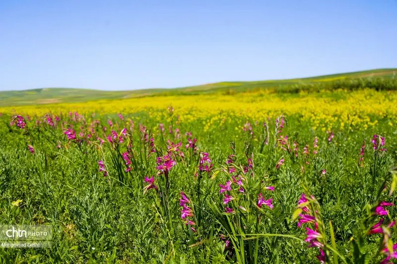 شهرستان گرمی اردبیل (3)
