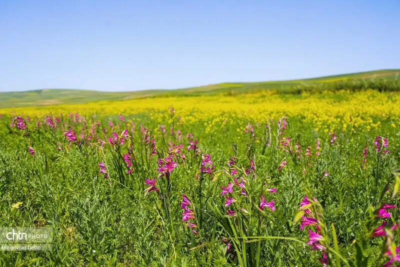 شهرستان گرمی اردبیل (3)