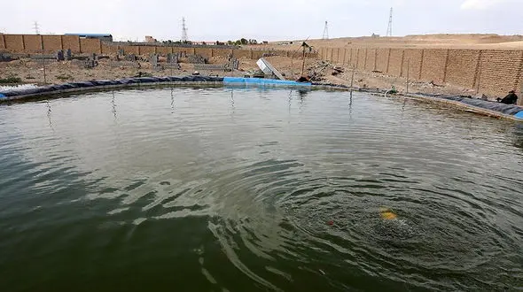 کشف جسد پسر جوان در استخر کشاورزی / در نیشابور رخ داد