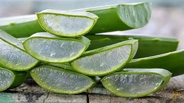 درمان لکه های پوستی با گیاه ضدپیری