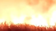  آتش‌سوزی گسترده در ورودی شهر بوشهر + فیلم