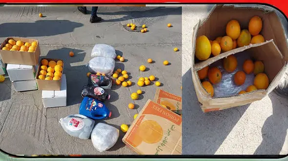 پرتقال های مرد قمی بوی عجیبی می داد / پلیس برملا کرد 