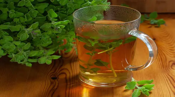 خواص درمانی دمنوش پونه + طرز تهیه