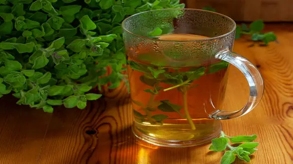 خواص درمانی دمنوش پونه + طرز تهیه