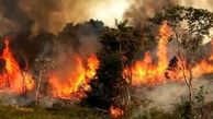 آتش سوزی جنگل ها در گلستان / عملیات اطفای حریق به کندی پیش می رود + فیلم و عکس