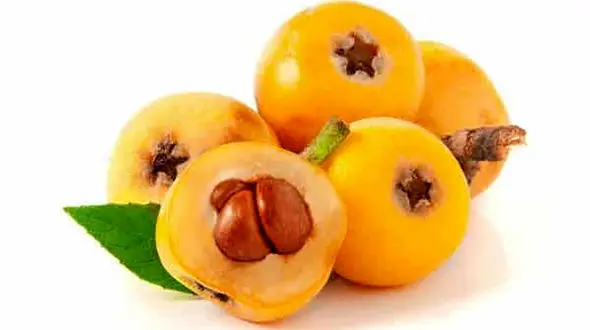 گلابی جنگلی بهترین داروی دستگاه گوارش 