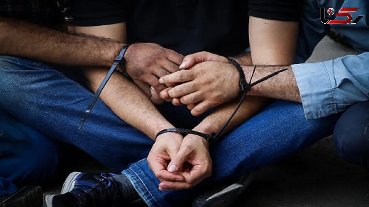 6 سارق حرفه ای در چهارمحال و بختیاری دستگیر شدند
