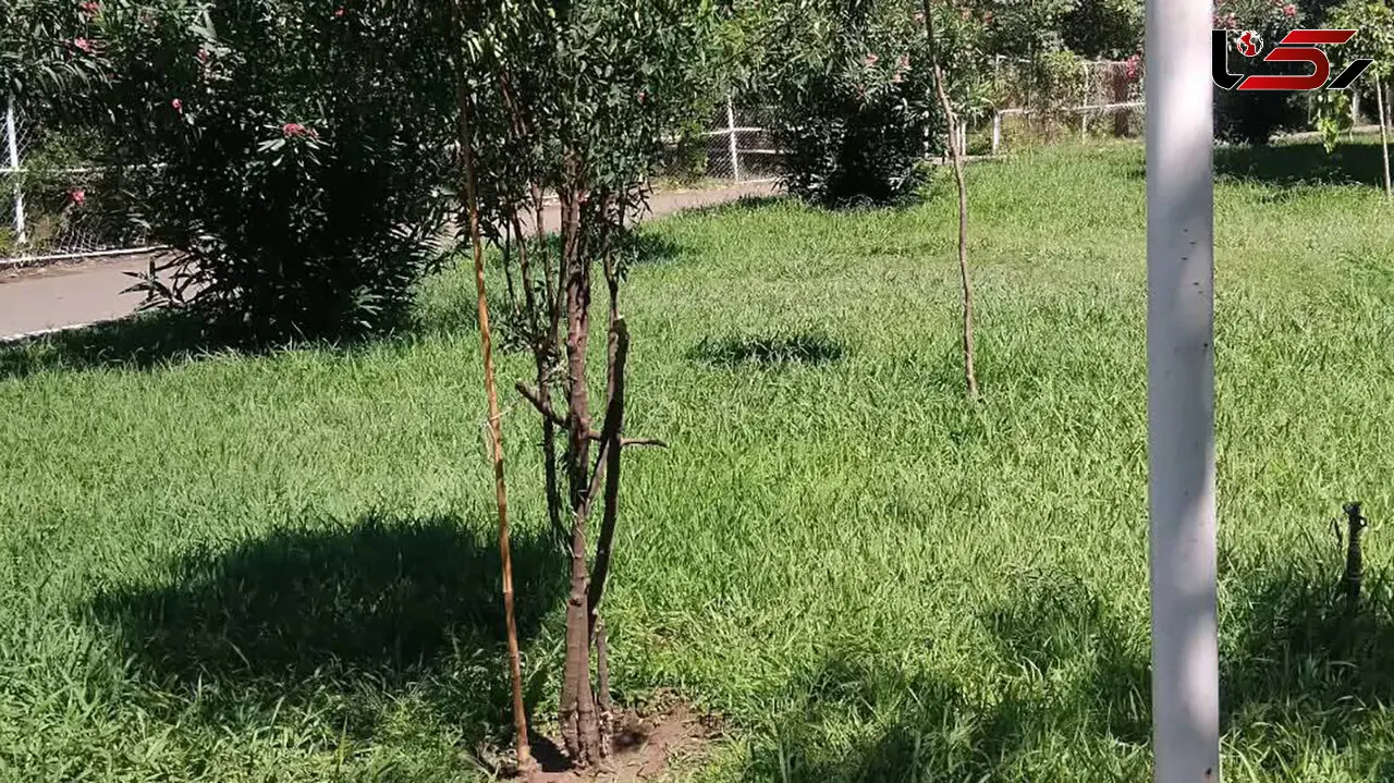 اتفاق ناگوار در پارک سیمرغ رشت